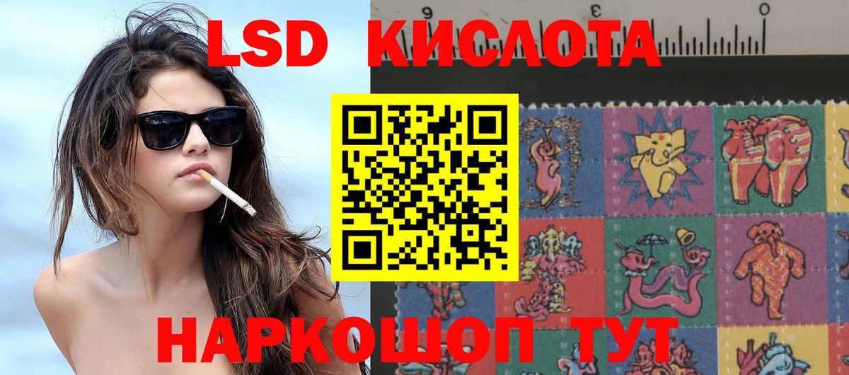 Гусев  Наркотические марки 1,5мг  Вход с VPN  Наркотические марки  Наркотические марки 1,5мг 