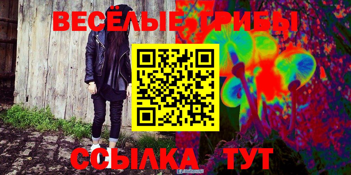 Гусев  Псилоцибиновые грибы Cubensis  Псилоцибиновые грибы GOLDEN TEACHER  Вход с VPN 